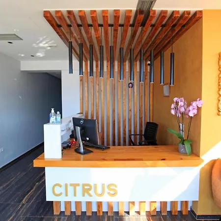 Citrus Ksamil