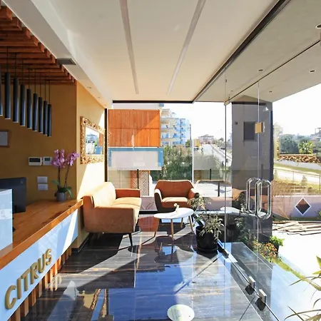 Hotel Citrus 4*