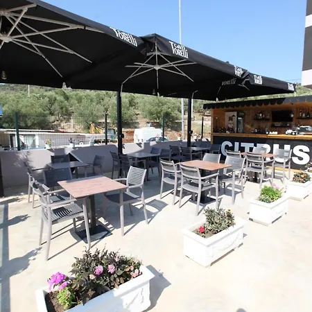 Citrus 4*