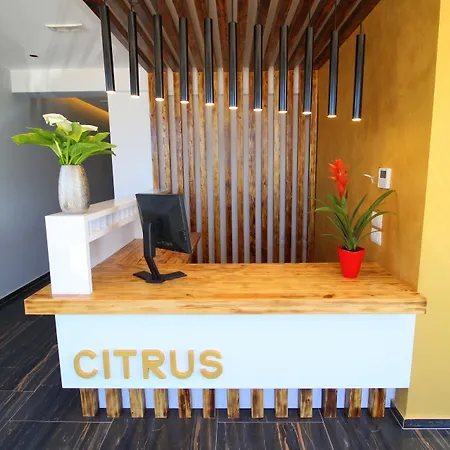 Citrus 4*