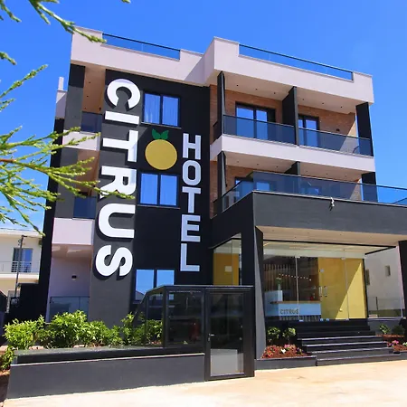 Citrus Ksamil